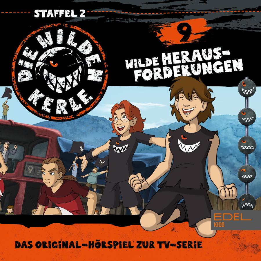 Cover Folge 9 (Das Original-Hörspiel zur TV-Serie)
