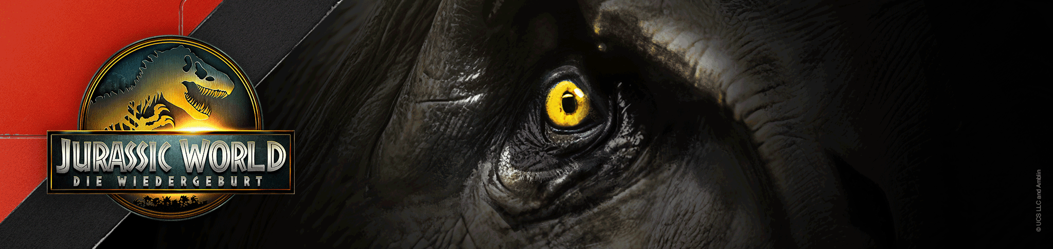 Der Kreativwelt Banner zu Jurassic World - Die Wiedergeburt zeigt das Logo und den T-Rex.