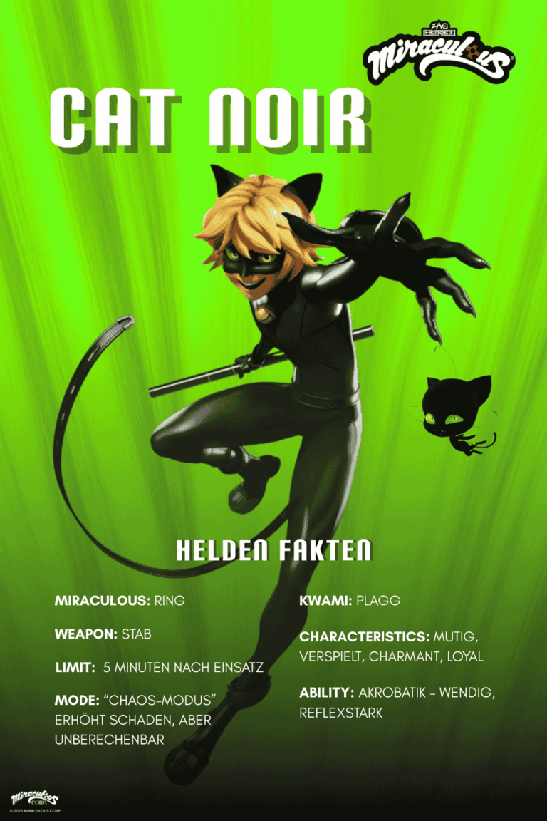 Man sieht eine Beschreibung des Superhelden Cat Noir aus Miraculous